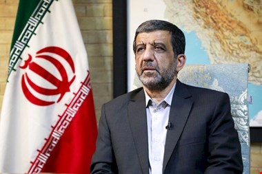 واکنش وزیر رییسی به حکم اخیر علیه آزاده صمدی