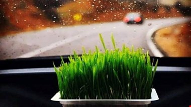 چطور از سیزده بدر لذت ببریم؟