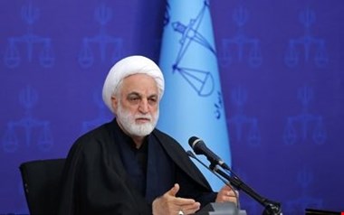 اژه ای: قاضی بدون نظر کارشناس نمی تواند اقدام به صدور رأی کند