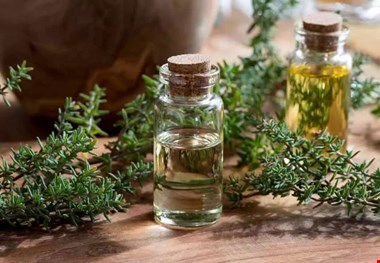 آنتی بیوتیک های قوی خانگی که خطرات کمی برای بدن دارند