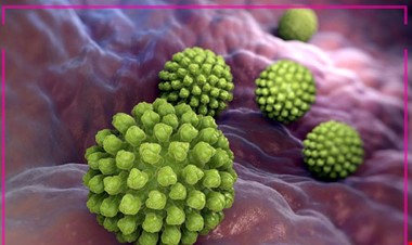 نشانه های بیماری ویروسی جدید کودکان / آیا «روتاویروس» خطرناک است؟
