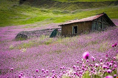 آشنایی با ۲ منطقه بکر ایران / اینجا یک گوشه از بهشت است + عکس