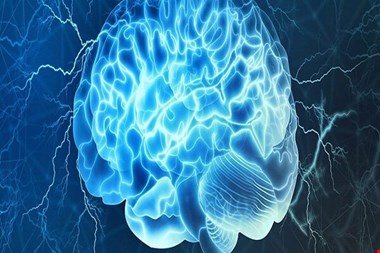 گفتاردرمانی ساختار مغز را تغییر میدهد