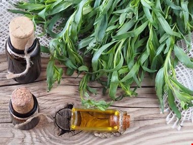 اثر شگفتآور این سبزی در کاهش قند خون