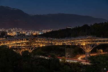 پل طبیعت برای کودکان سرطانی طلایی می شود