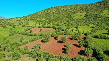 نگرانیهای منابع طبیعی درباره یک ماده از برنامه هفتم توسعه