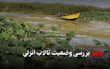 تالاب انزلی در آستانه فروپاشی اکولوژیک؛ زخمهای عمیق بر تن یک زیستبوم