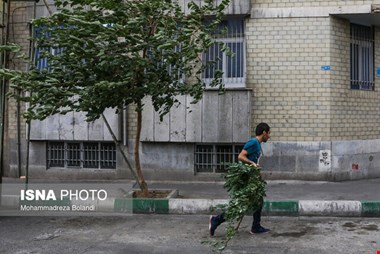 وزش باد شدید در تهران/ افزایش دما تا سهشنبه