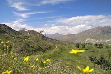 ساخت نیروگاه بدون مجوز در قلب پارک ملی خجیر