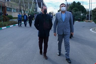 اصولی: ملاک تمدید قرارداد قلعهنویی بازی مردمپسند است!