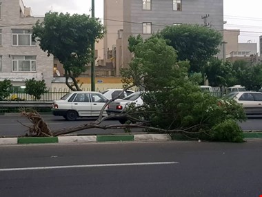 این استان ها منتظر باد شدید و رگبار باران باشند