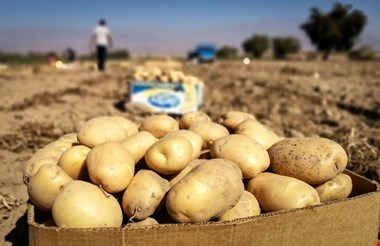 ورود ۹ کالای ایرانی به عراق ممنوع شد