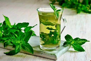 افراد چاق، با این روش عرق نعنا بخورند