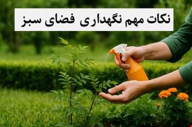 چک‌ لیست کاشت نهال + نکات مهم نگهداری فضای سبز