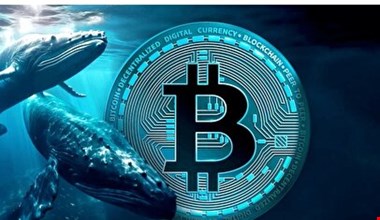 کوچ نهنگ‌ها از بیت کوین به اتریوم / افزایش تاریخی قیمت اتریوم نزدیک است؟