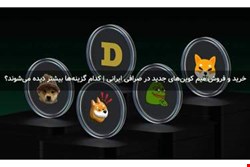 خرید و فروش میم کوین‌های جدید در صرافی ایرانی | کدام گزینه‌ها بیشتر دیده می‌شوند؟