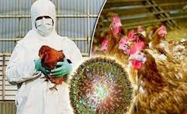 پاندمیای مرگبارتر از کووید در انتظار جهان