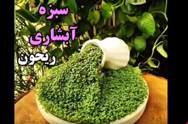 طرز تهیه سبزه فانتزی عید / آموزش ساده سبزه آبشاری + فیلم