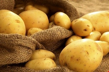 چرا نگهداری سیب زمینی داخل یخچال و فریزر خطرناک است؟
