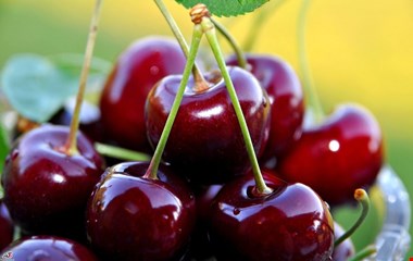 از خوردن این خوراکیها در تابستان غافل نشوید