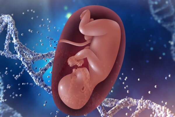 بارداری پوچ چیست و چرا اتفاق می‌افتد؟ از تشخیص تا اقدامات ضروری