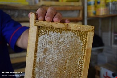 عسل طبیعی رنگ ثابتی ندارد