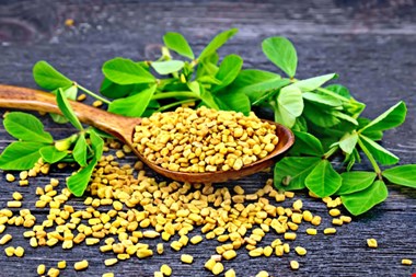 این سبزی شما را از انسولین بی نیاز می کند
