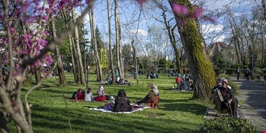 نکاتی کلیدی درباره سیزده بدر