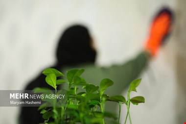 ترکیب مرگبار مواد شوینده در خانه‌تکانی