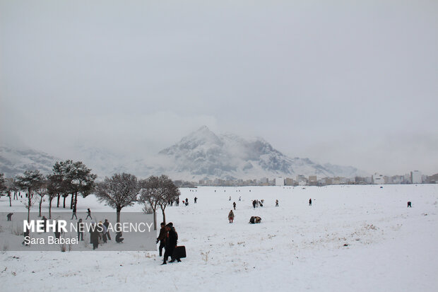 برف کوری چیست