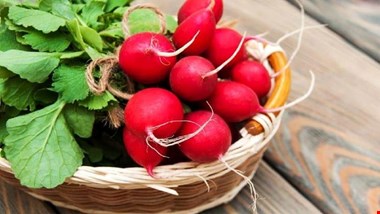 تربچه چه خاصیتی دارد؟