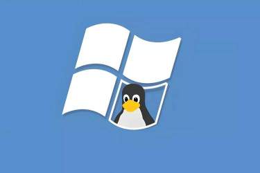 ۹۰ درصد بازی‌های ویندوزی روی لینوکس اجرا می‌شوند