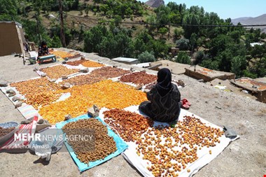 الهایی: توسعه گردشگری در روستاهای هدف مغفول مانده است
