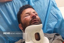 حمله ۳ متخلف به محیط‌بان در شمال تهران؛ضاربان بازداشت شدند