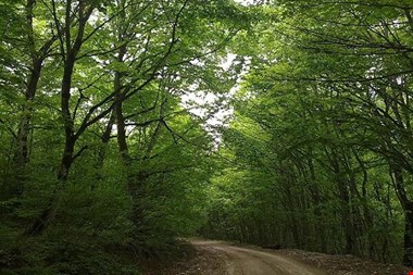 «روز جهانی زیستگاه»؛ زنگ هشدار برای آینده سکونت بشر
