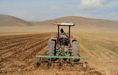 سید احمدی: کشت پاییزه در خوزستان با وجود خشکسالی بیسابقه آغاز شد