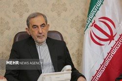 ولایتی: ایران اسلامی فقط در دفاع از خود دست به سلاح برده است