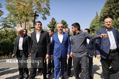 پورمحمدی: موفقیت‌های فدراسیون کشتی حاصل معجزه یا شانس نیست