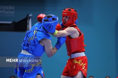 عرفان محرمی در ووشو به مدال طلا رسید