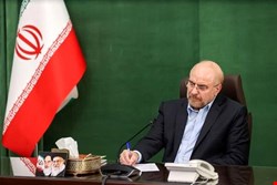 قالیباف: ایران آقای بلامنازع کشتی در جهان است